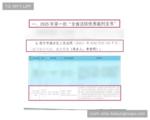 国内裁判赴海外观摩 学习先进执法经验，国外裁判文书